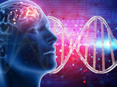 Evolución Bioespiritual