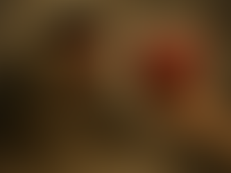 Cicatrizes Contam Histórias: Quando a Dor se Torna Testemunho.