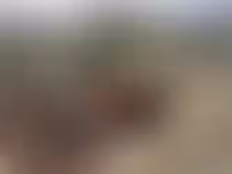 Dünyaya Objektifiyle Bakan Adam