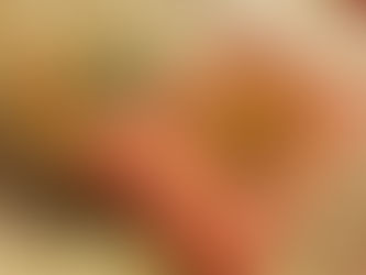 Kalem Kağıt İnternet