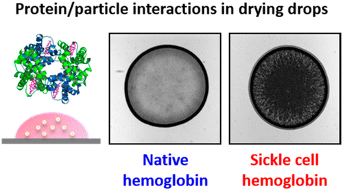 14. ToC_Protein_Particles_CRE.gif