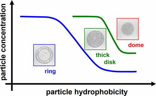 15. ToC_CRE_hydrophobicity.gif