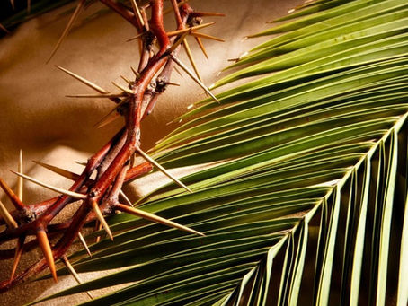 The Pain and Passion of Palm Sunday