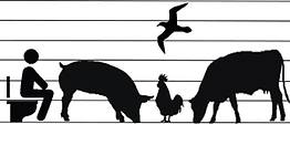 Image of animals and a human on a toilet. 