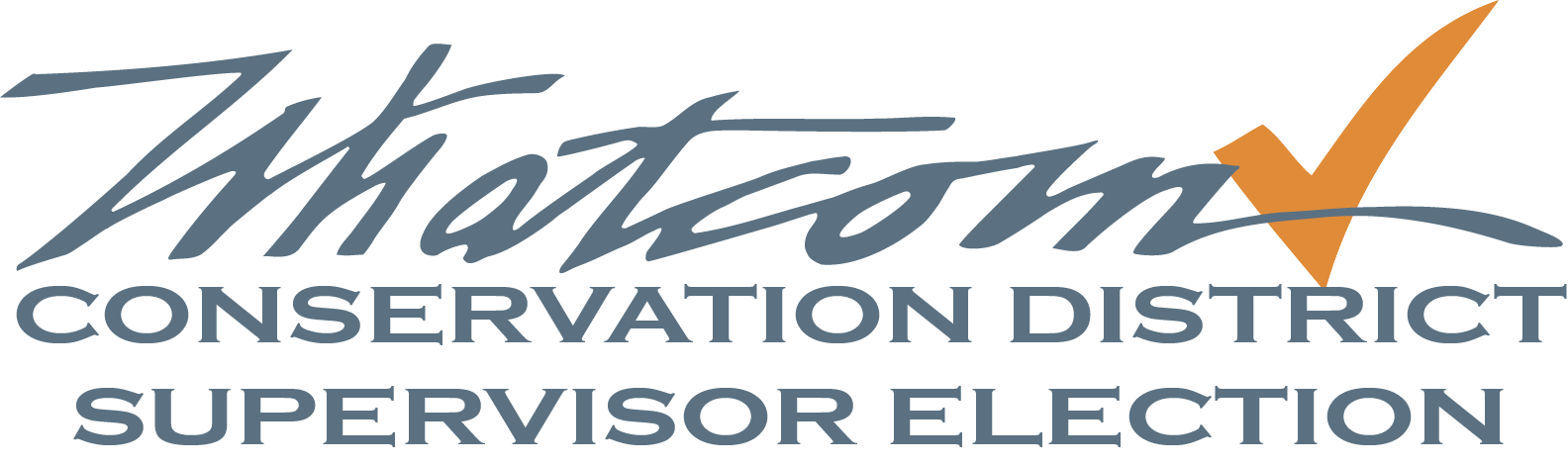 WCD Election Logo