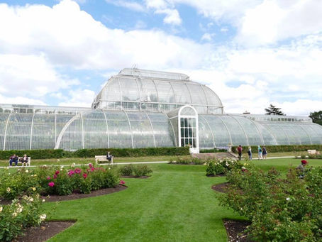 Unearth the Secrets of Kew: A Magical Day at the Royal Botanic Gardens