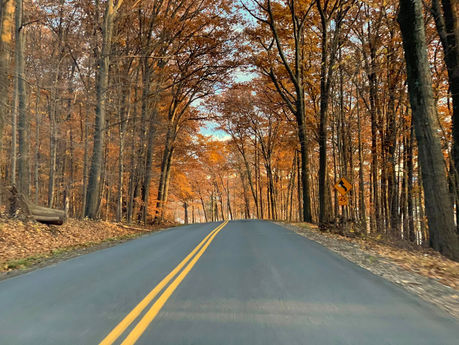Journey Through Scenic New England: Exploring the Mohawk Trail from Albany, NY
