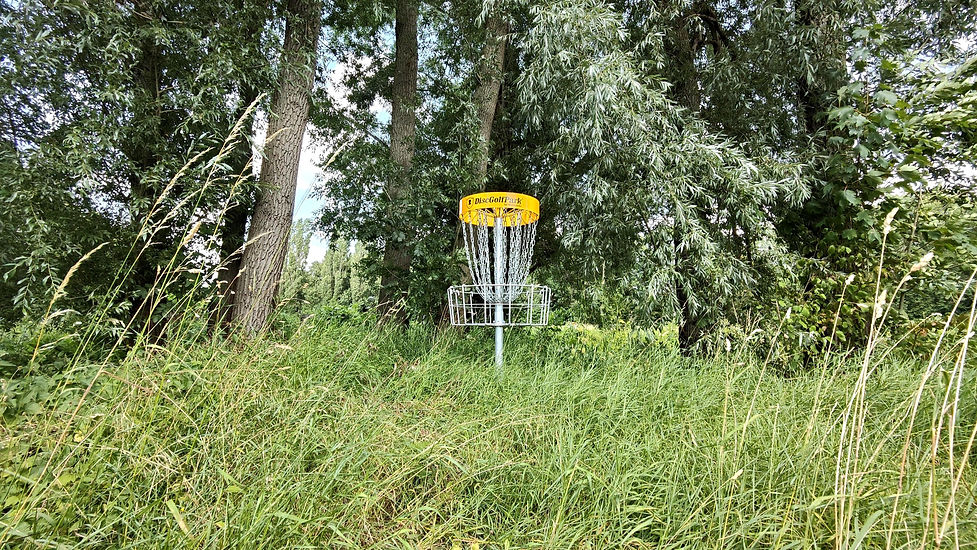 Discgolfpark Basket