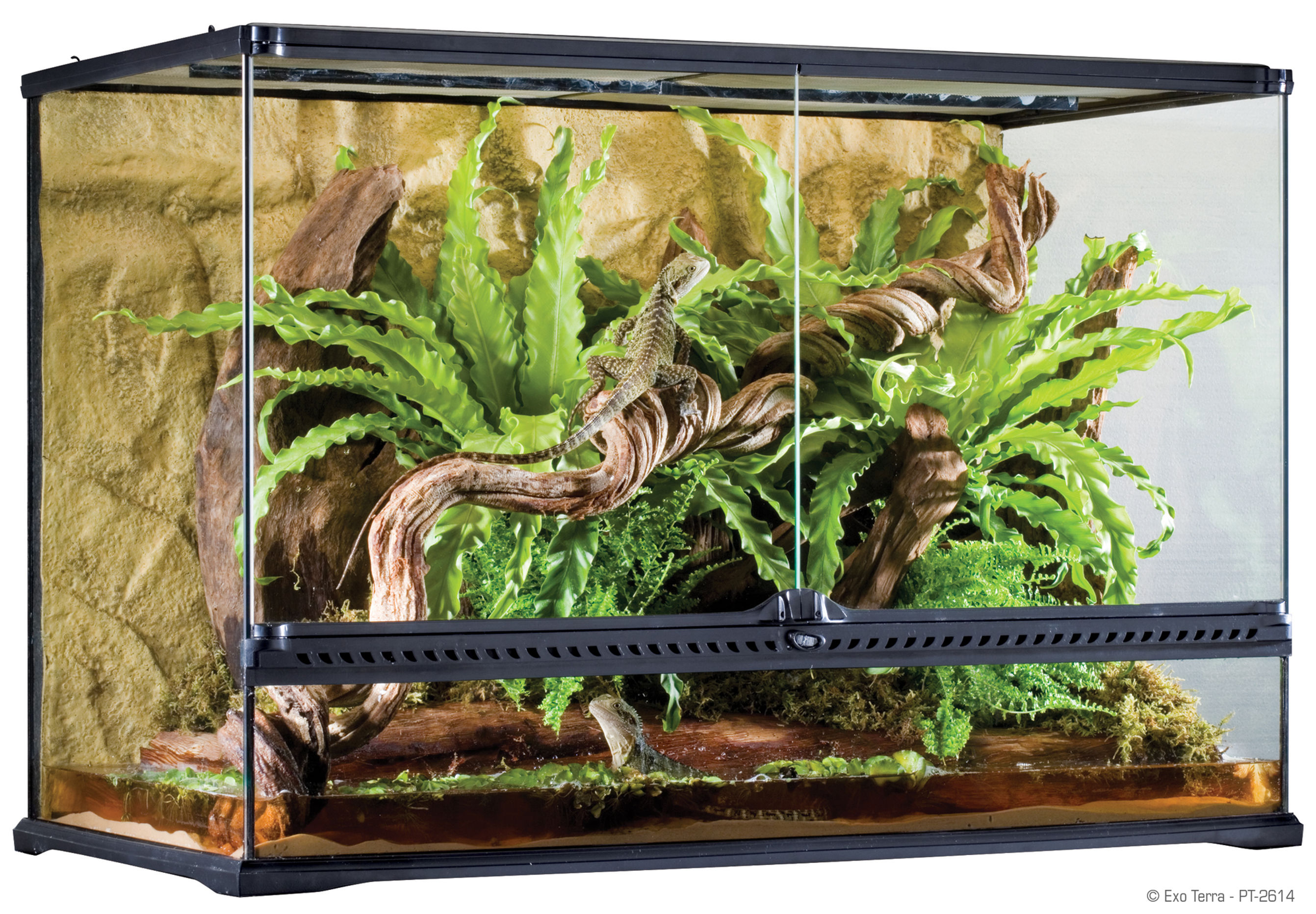 Exo Terra Natural Terrarium large tall