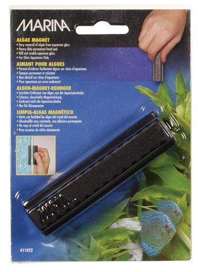Marina Algae Magnet - Medium