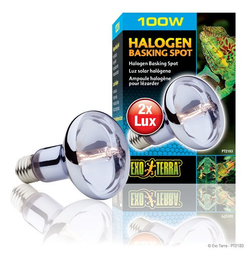 Exo Terra Halogen Basking Spot - 100W