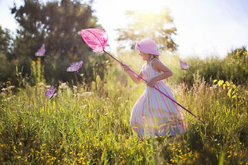 chasing-butterflies-2516581_1920.jpeg
