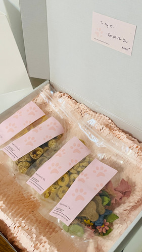 米プログレ Pavlov’s Dog 4タイトル 紙ジャケットボックスセット Seize the Day Corporate Gift Box | Foxblossom – Foxblossom Co.