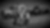 output-onlinepngtools_edited_edited_edited.jpg