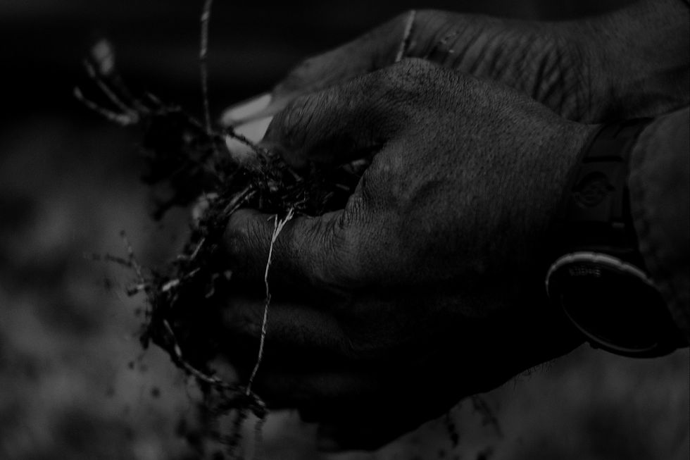 EquaI justice initiative has initiated a campaign to recognize the victims of lynching by collecting soil from lynching sites and creating a memorial that acknowledges the horrors of racial injustice. We aim to transcend time and altered terrain to bear witness to this history and the devastation these murders wrought upon individuals, families, communities, and our nation as a whole. We invite you to join our effort to help this nation confront and recover from tragic histories of racial violence and terrorism and to create an environment where there can truly be equal justice for all. This image is one of those soil collections in Tulsa, Ok