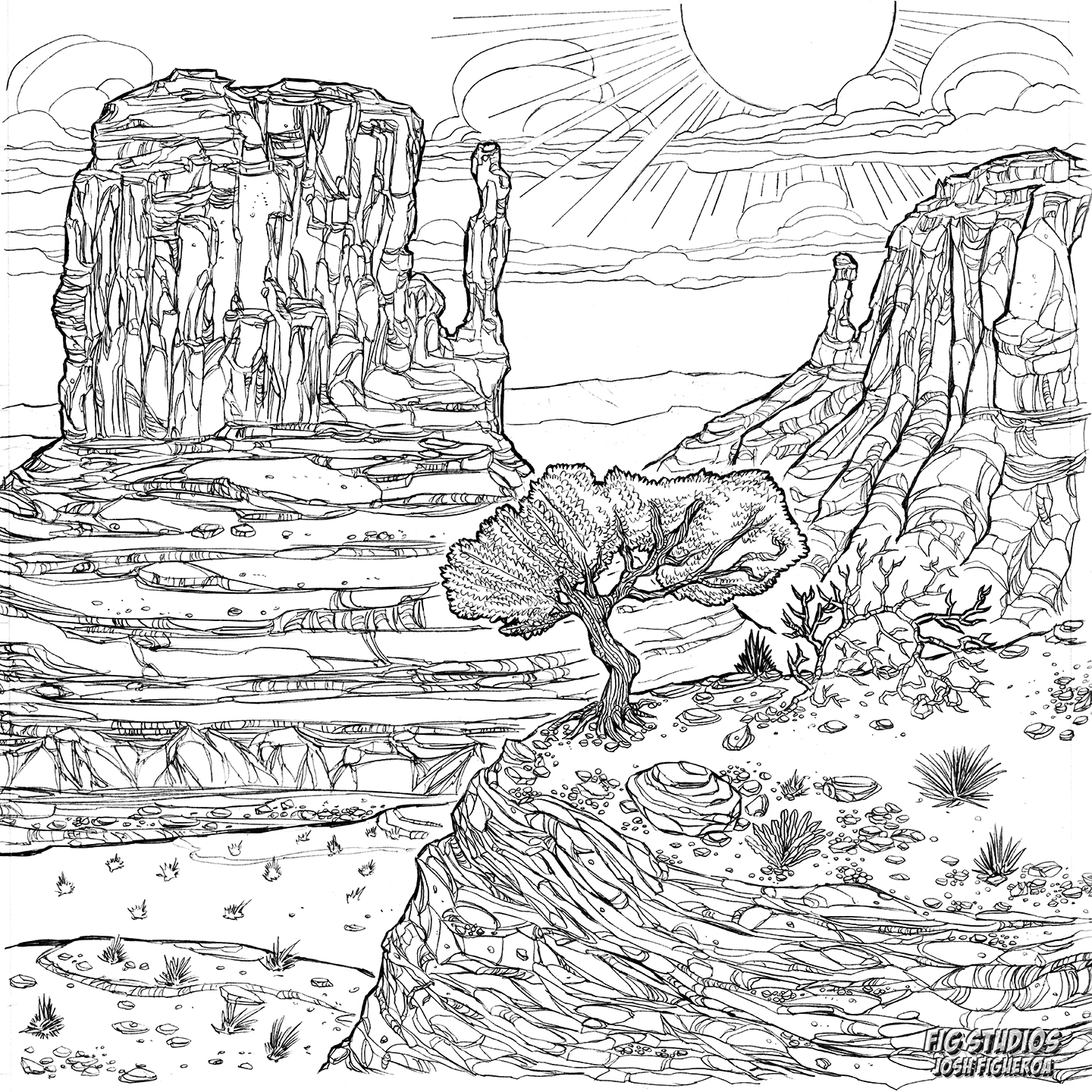 Arizona desert