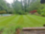 Garden with grass and trees