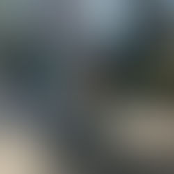 Recommended Listening: November 2024 Top 10