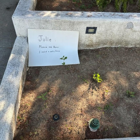 Recommended Listening: July 2023 Top 10