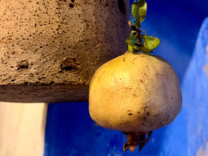 Ode to a Portuguese autumn