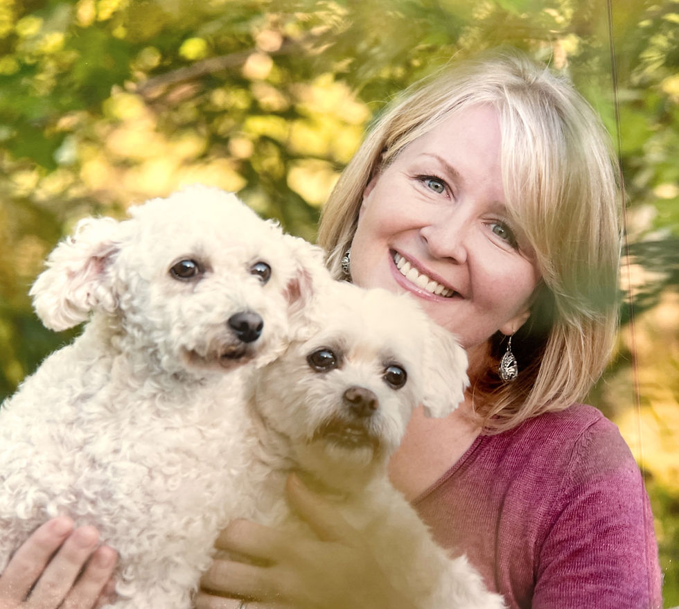 The Story of EVERMORE Compassionate Pet Aftercare in Stratford, Ontario