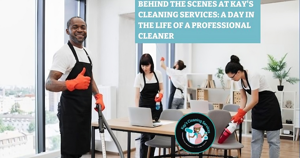 Professional Cleaner