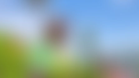 SRI LANKA du 11 au 21 mai 2025