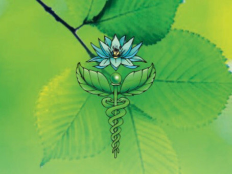 Mijn logo het symbool Caduceus en een blauwe lotus.