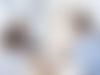 het bespreken van een risicomanagement model door een consultant van Ferocia