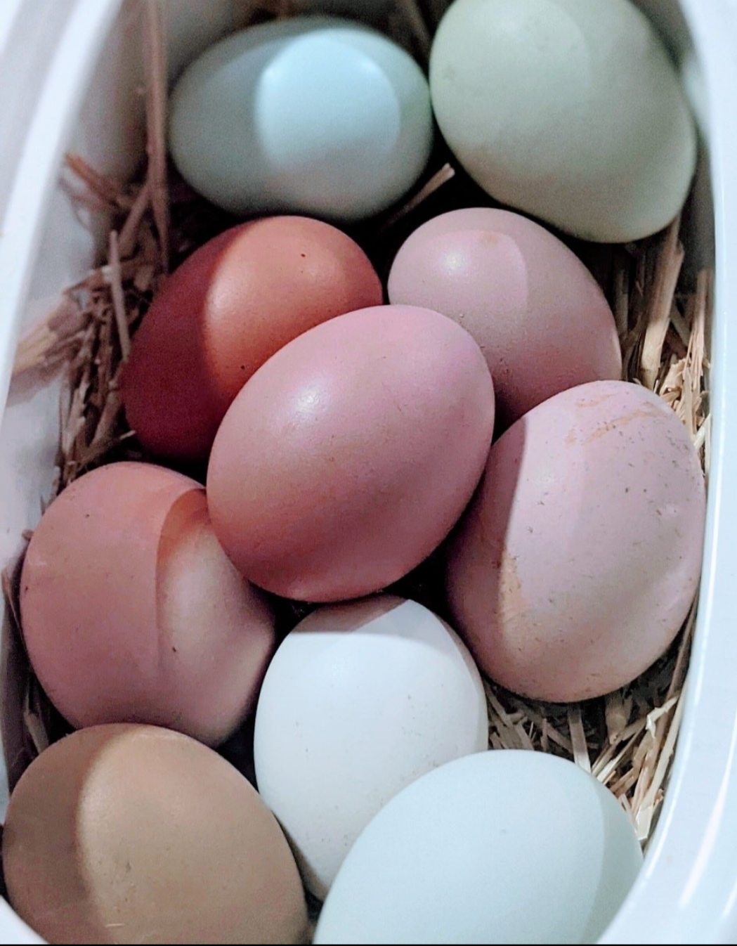 Custom Order 14 eggs