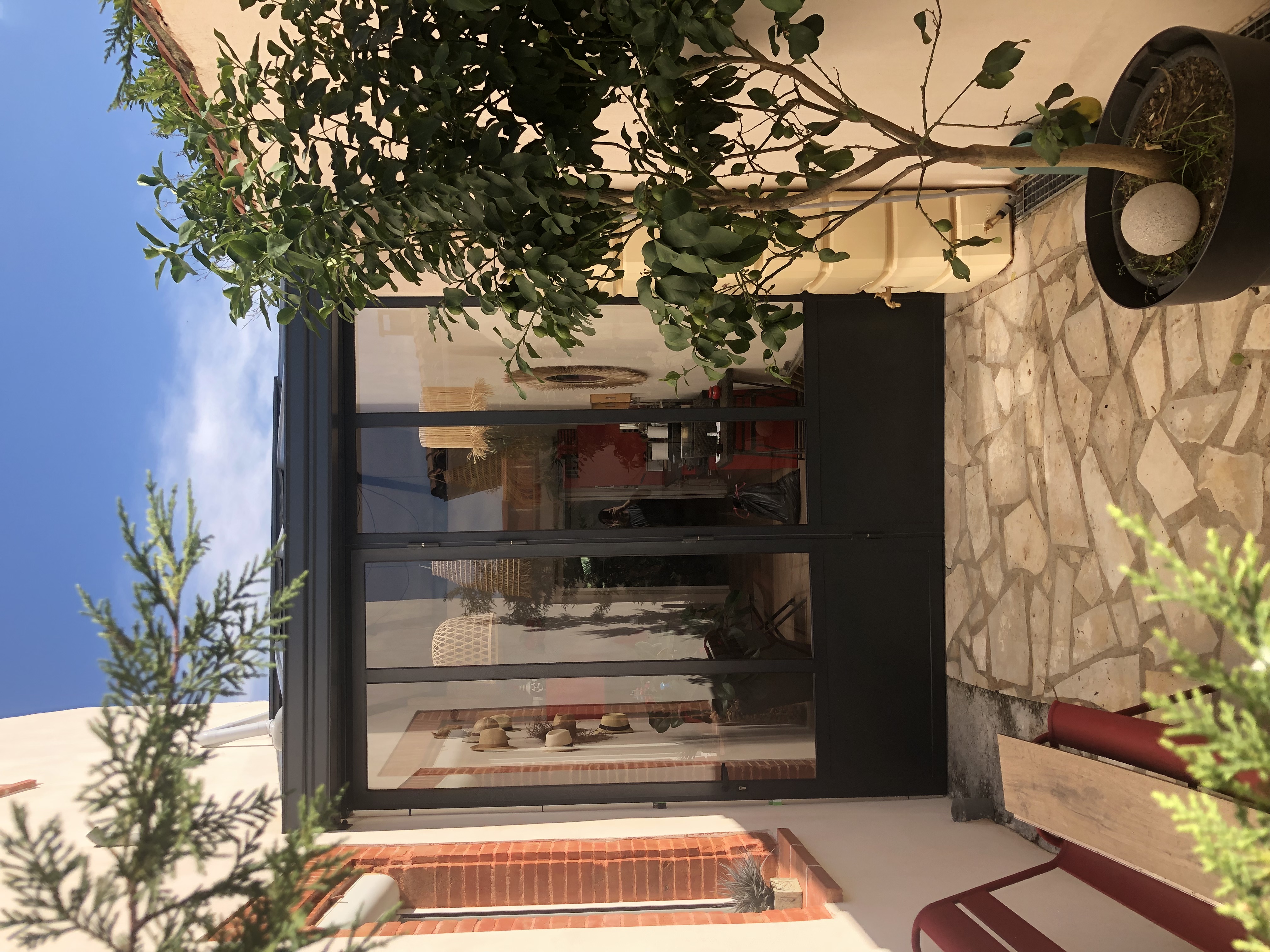 Verrière noire et vitrée, vue d'une cour pavée avec arbres et plantes.
