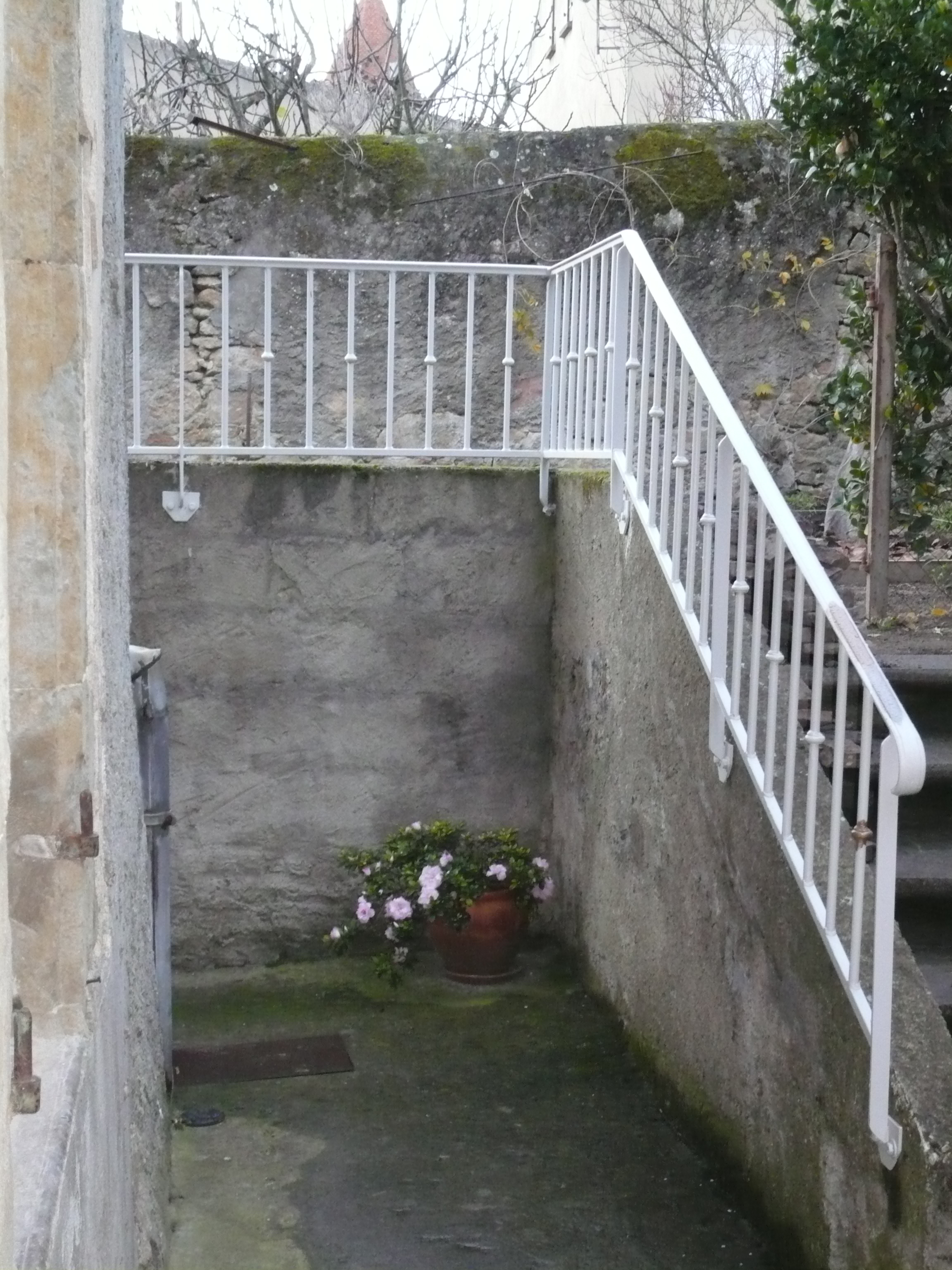 Escalier et rampe blancs, plantes en pot, mur gris rugueux, espace extérieur sombre.