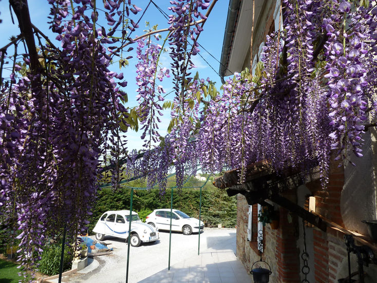 Verrière, métallique, ferronnerie.