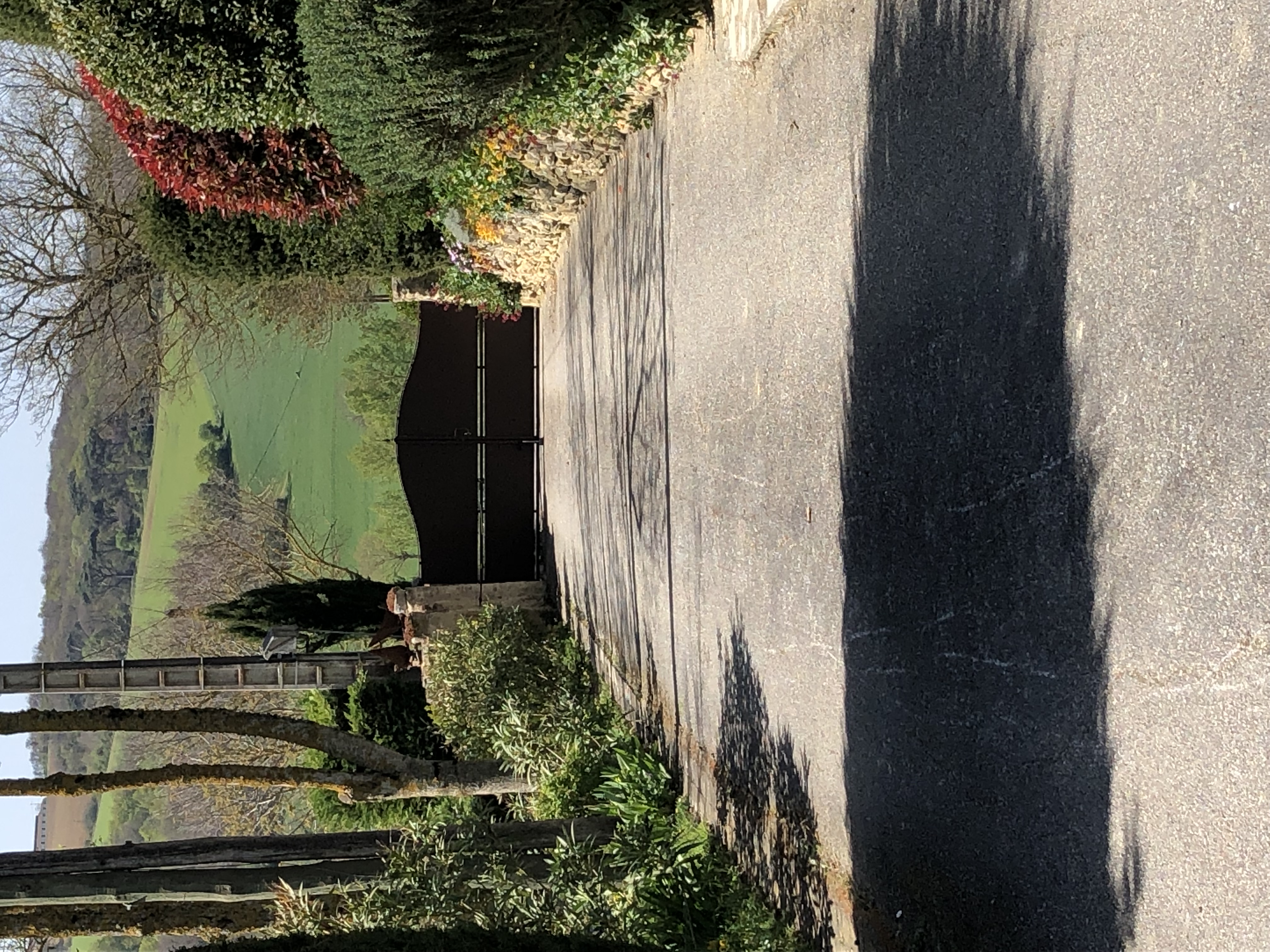 Allée menant à un portail en bois avec un paysage verdoyant en arrière-plan.