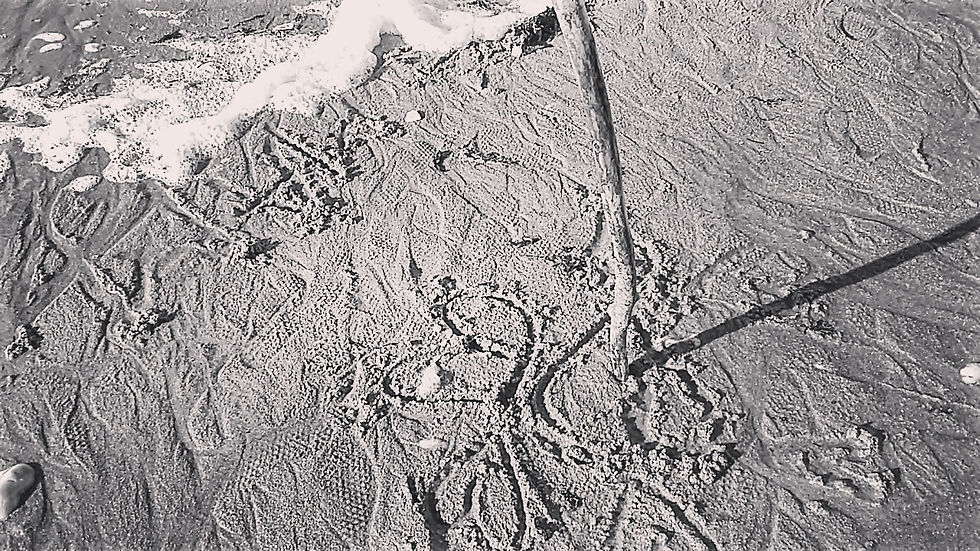 IMG_20180204_080822_777