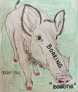 Boaring - Edward Lining