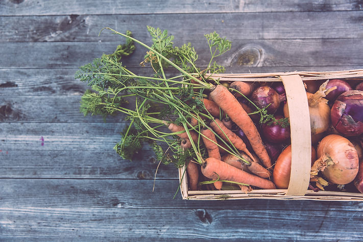 freshly-harvested-carrots