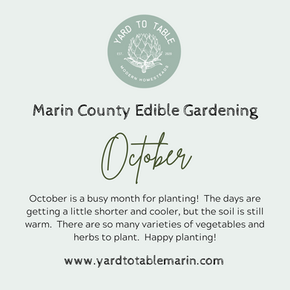 WHAT TO GROW IN THE MARIN COUNTY EDIBLE GARDEN