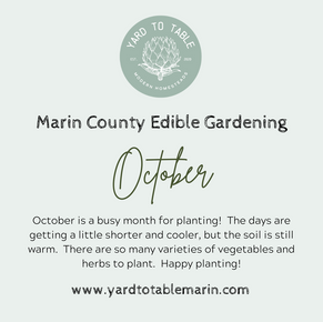 WHAT TO GROW IN THE MARIN COUNTY EDIBLE GARDEN
