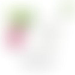 What To Plant In June in Marin County