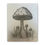 Thumbnail: "Spore & Shadow" - Whimsical Mushroom Art on Matte Stretched Canvas