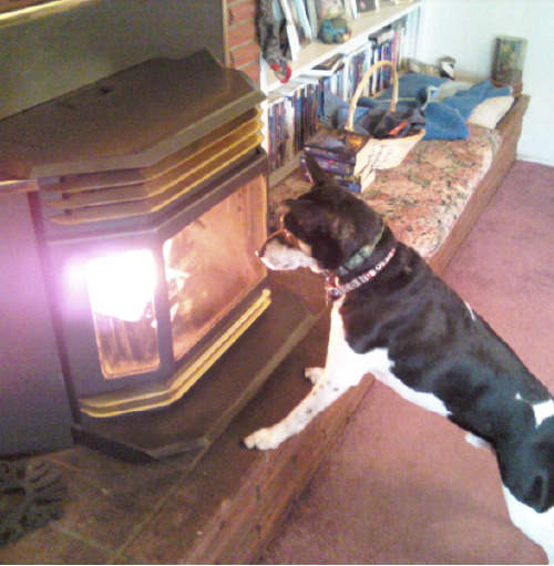 Wood Stove Repair Eugene, OR The Stove Doctor