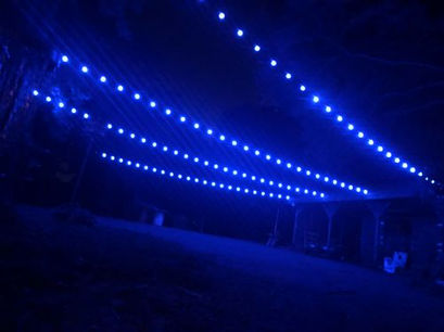 4.26.23 TL Globe Lights-5.jpeg