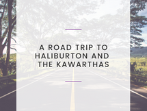 A Road Trip to Haliburton and The Kawarthas