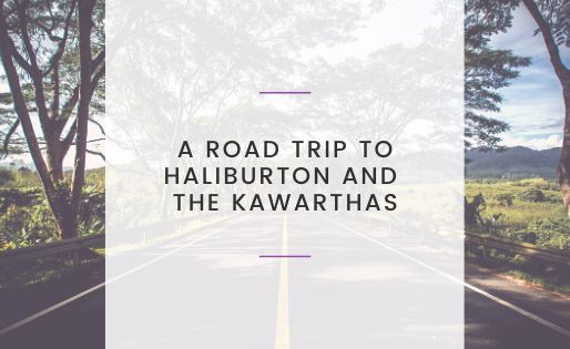 A Road Trip to Haliburton and The Kawarthas
