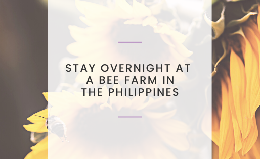 Stay Overnight at a Bee Farm in the Philippines