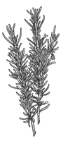 léčba