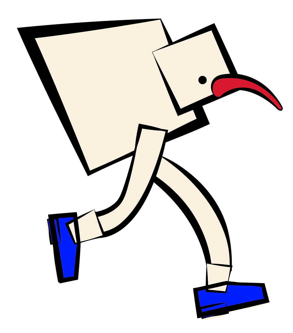 kiwi bird.png