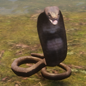Cobra.png
