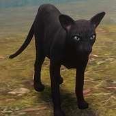 Black Pussycat.png